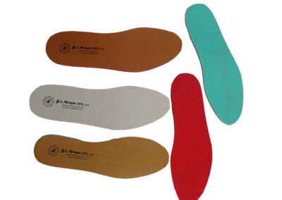 EXTRAIBLE PLANA POL RECIBLADO FORRO AL CANTO